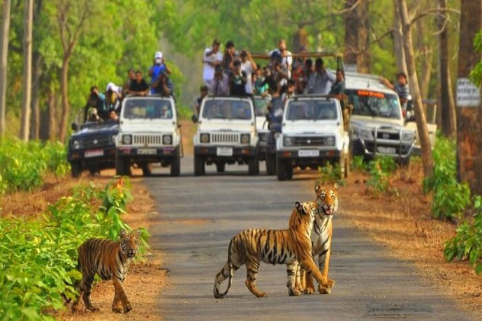 Buxa Tiger Reserve