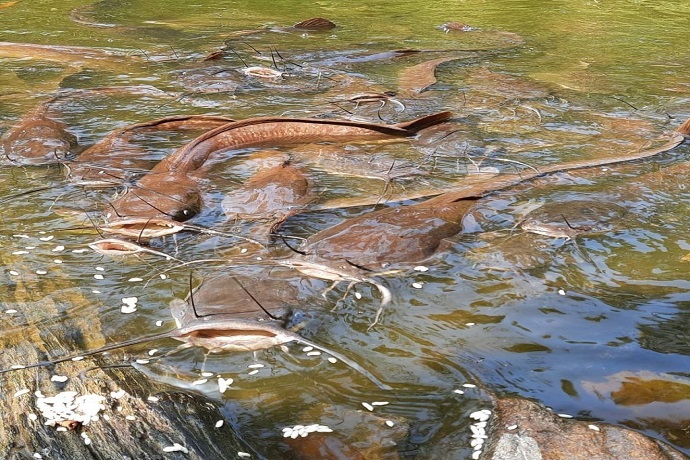 Pokhri Lake