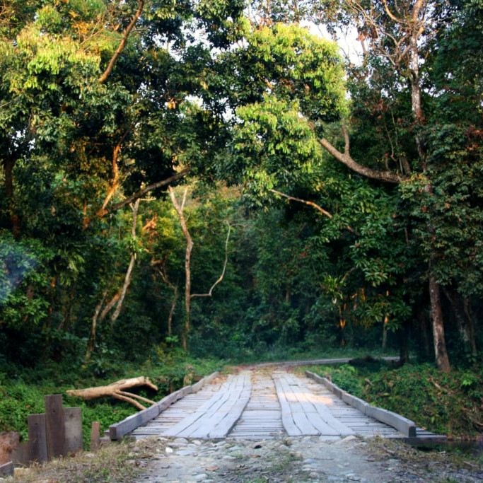 Chilapata Forest