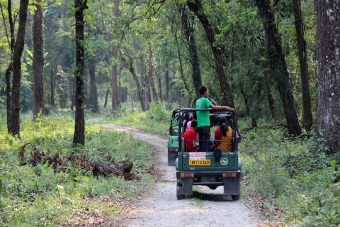 Jeep Safari