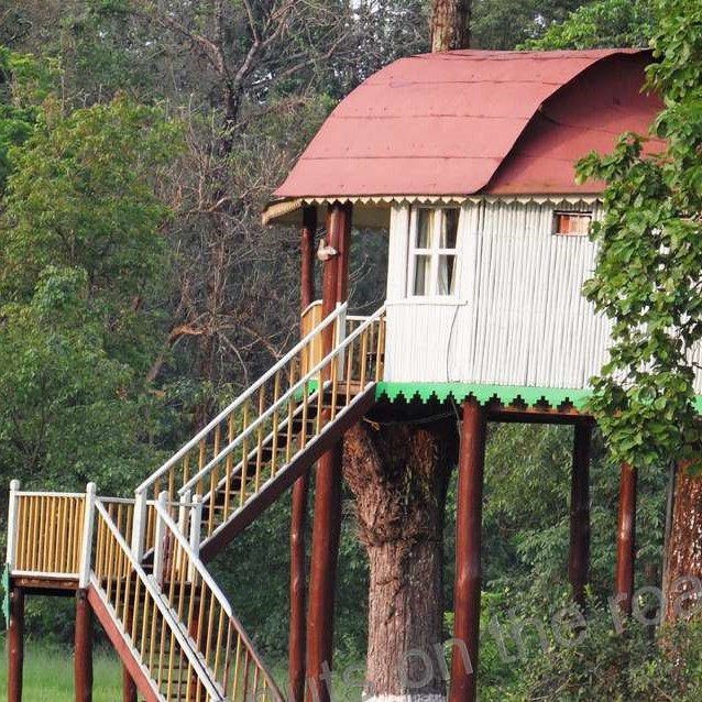 Gorumara Jungle Camp Resort