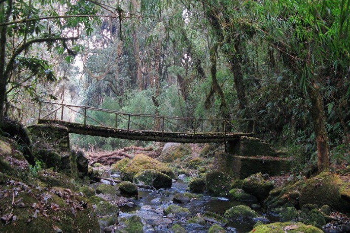 Neora Valley National Park