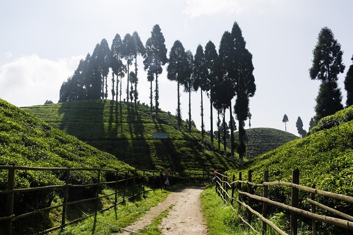 Golpahar View Point Tea Shop