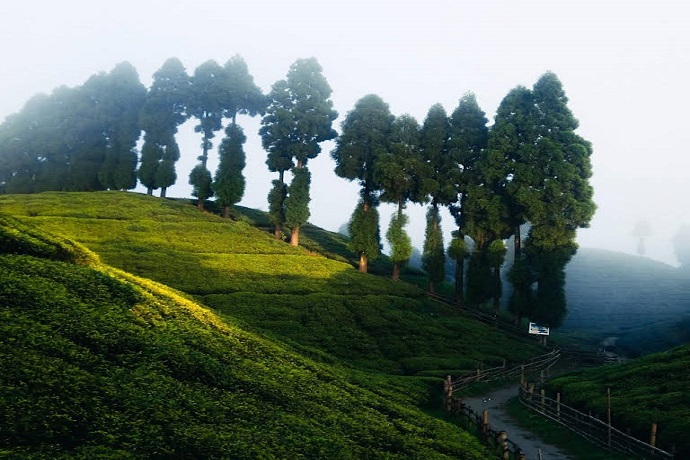 Golpahar View Point Tea Shop