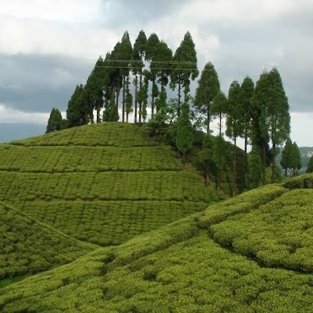 Golpahar View Point Tea Shop