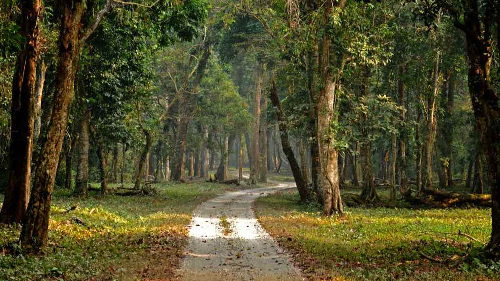 Gorumara National Park